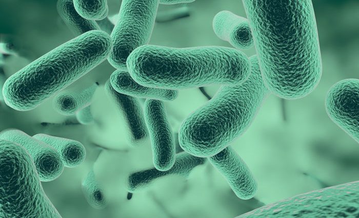 Scientists from the University of Gothenburg noticed that a previously unknown gene for antibiotic resistance has spread