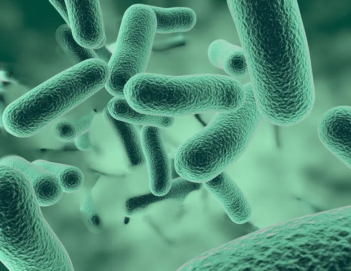 Scientists from the University of Gothenburg noticed that a previously unknown gene for antibiotic resistance has spread