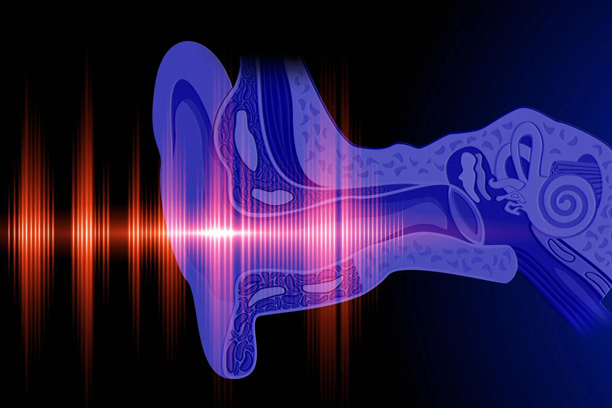 Scientists have created a drug that restores hearing. It works as a &#8220;switch&#8221; for deafness