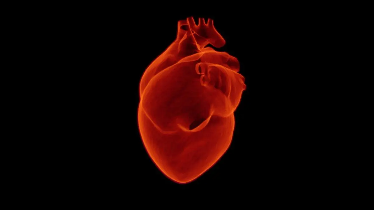 Scientists have created a plaster that heals the heart after a heart attack