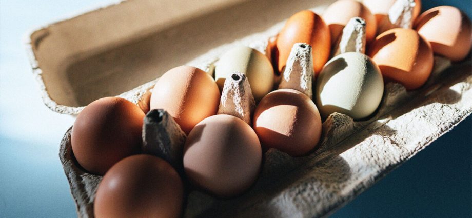 Scientists report how many eggs you can eat a day and how they affect our health