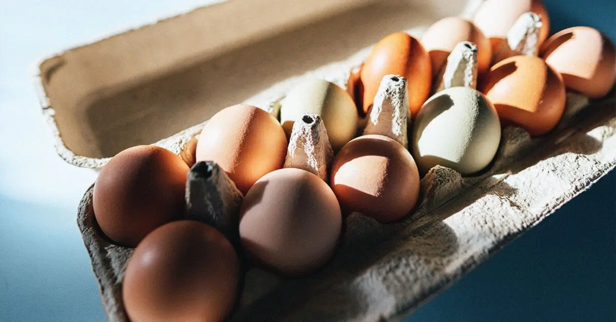 Scientists report how many eggs you can eat a day and how they affect our health