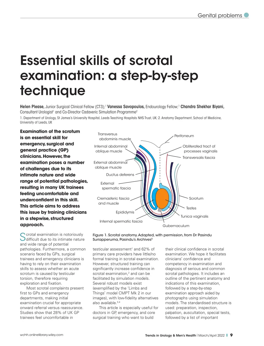 Scrotal ultrasound &#8211; indications, preparation and course of the examination