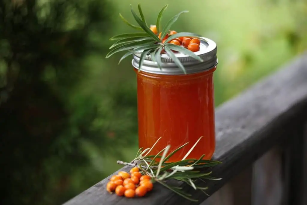 Sea buckthorn jam