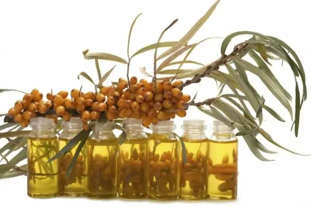 Sea buckthorn oil: properties and uses