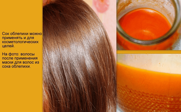 Sea buckthorn oil: properties and uses