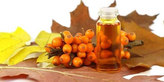 Sea buckthorn oil: properties and uses