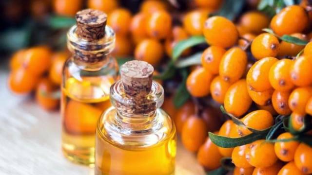 Sea buckthorn oil: properties and uses