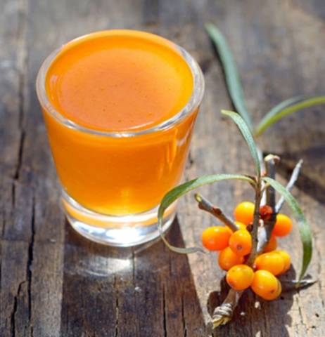 Sea buckthorn tincture: 18 simple recipes