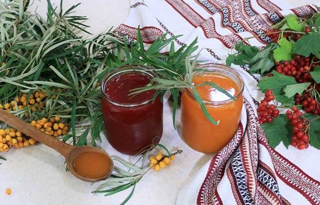 Sea buckthorn tincture: 18 simple recipes