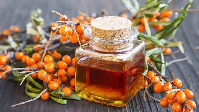 Sea buckthorn tincture: 18 simple recipes