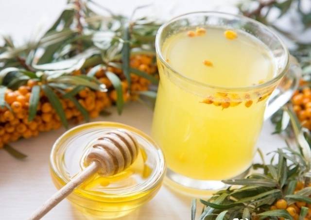 Sea buckthorn tincture: 18 simple recipes