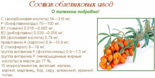 Sea buckthorn: useful properties and contraindications