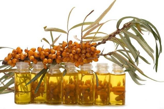 Sea buckthorn: useful properties and contraindications