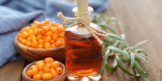 Sea buckthorn: useful properties and contraindications