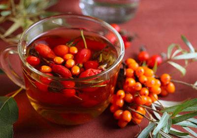 Sea buckthorn: useful properties and contraindications