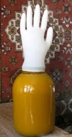 Sea buckthorn wine at home