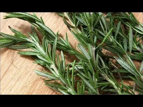 Seasoning with rosemary