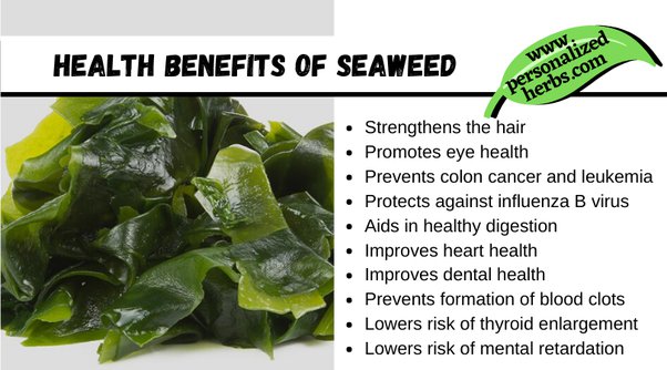 Seaweed good for the heart