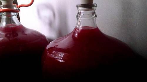 Secondary wine from pomace (pulp)