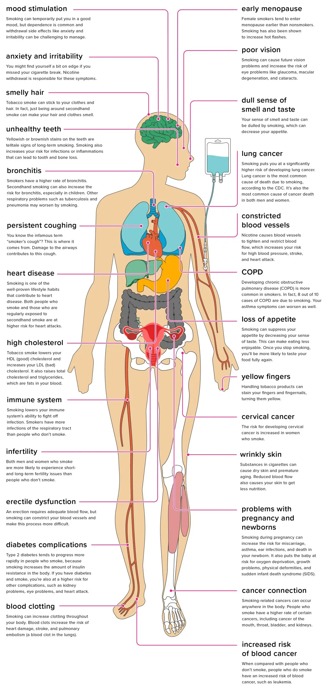 See how smoking changes your body