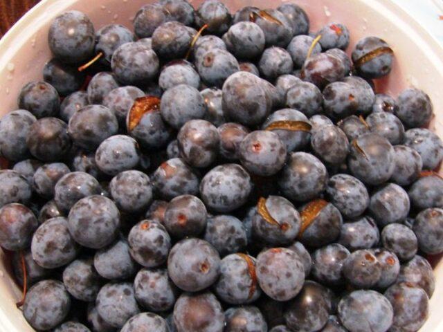 Seedless blackthorn jam for the winter