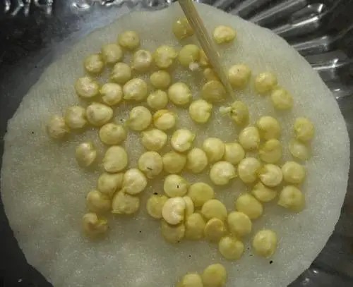 Seeds of sweet early thick-walled Siberian selection