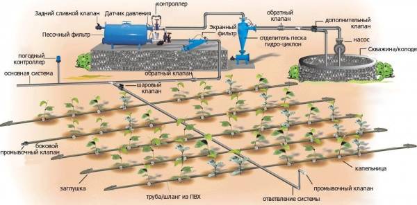 Selection of pipes for irrigation systems