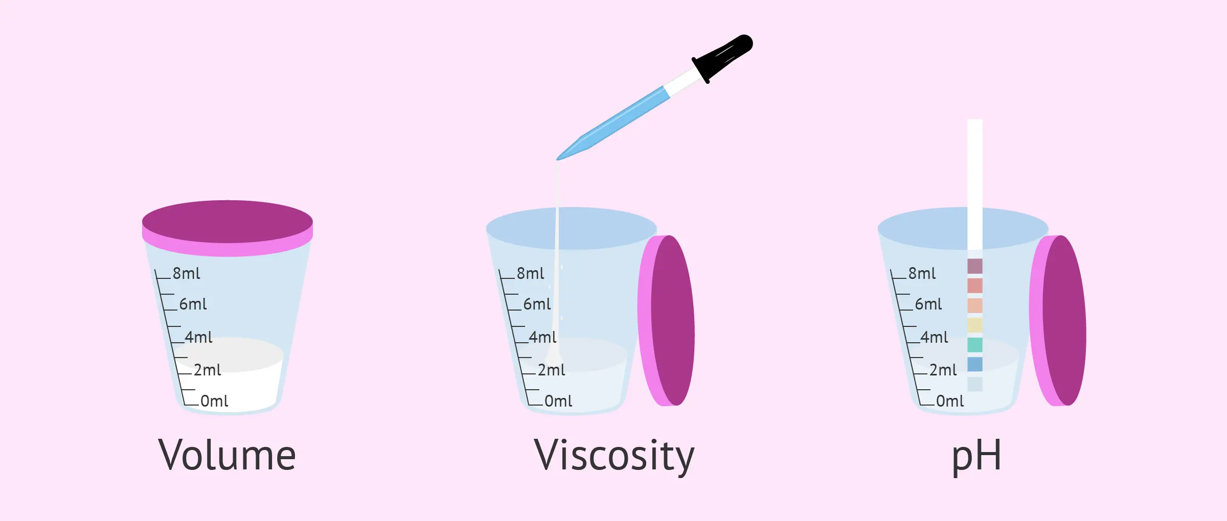 Semen analysis &#8211; course, preparation, price, interpretation of results