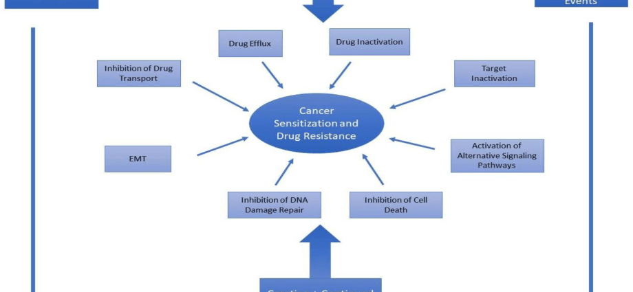 Sensational research results: there is a drug that extends the life of patients suffering from one of the most deadly cancers