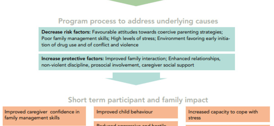 Session &#8211; indications, dosage, interactions. How does the Session supplement work?