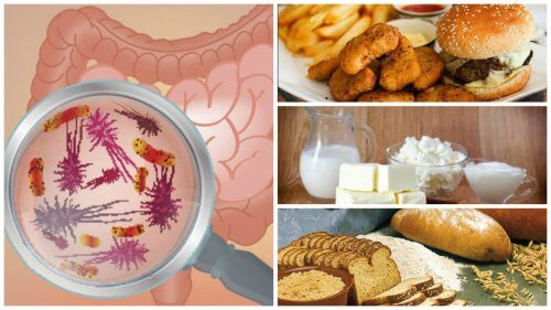 Seven foods that harm the intestines