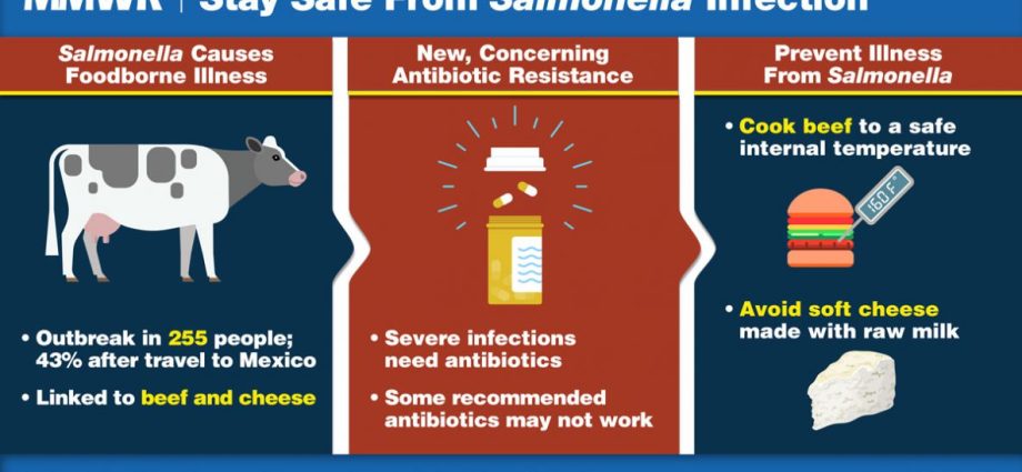 Seven mistakes that can lead to salmonella infection