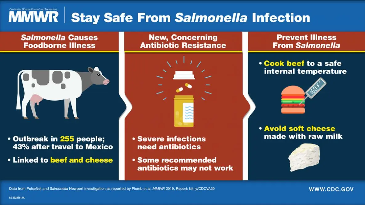 Seven mistakes that can lead to salmonella infection