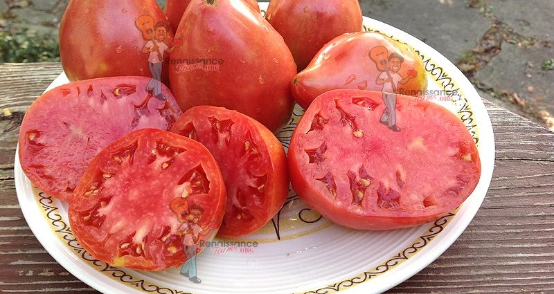 Sevryuga tomato: variety description, photos, reviews