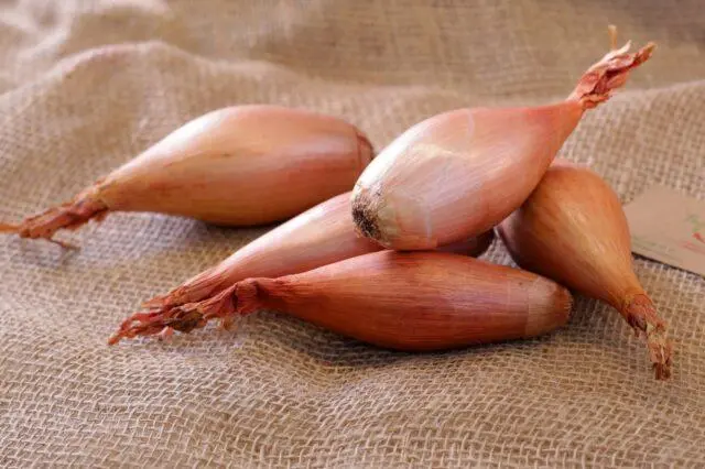 Shallots: useful properties, how to cook, use in cooking, taste