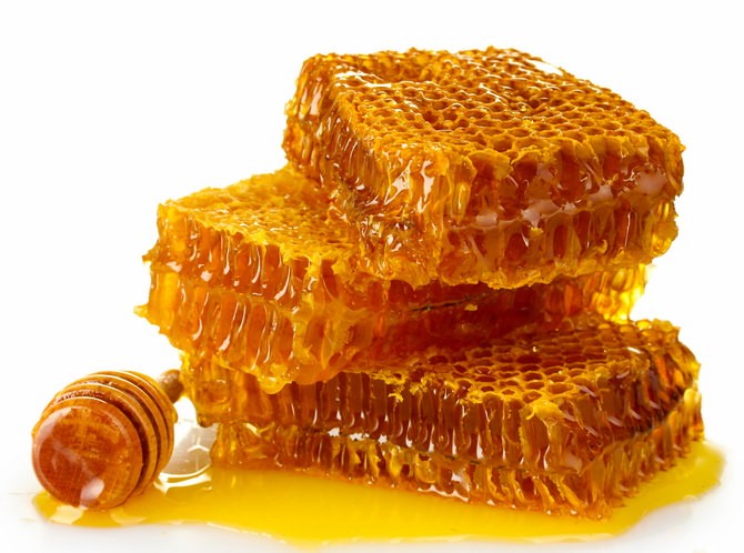 Shelf life of honey and honeycombs under different storage conditions + main factors affecting the durability of the product