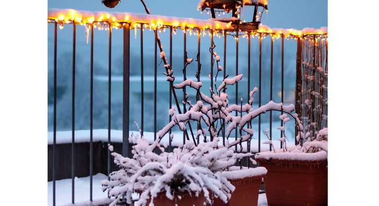 Shelter of plants for the winter in the country: caring for perennials in the fall, preparing herbs and flowers for the cold, warming rules