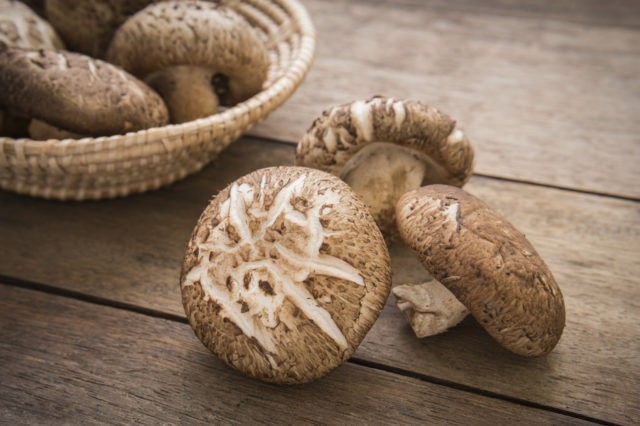 Shiitake mushrooms: contraindications and useful properties