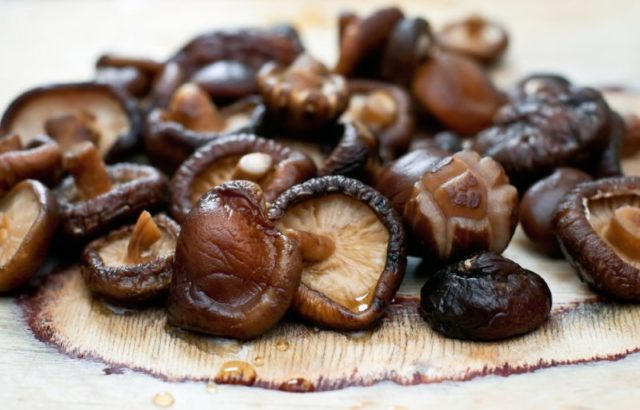 Shiitake mushrooms: contraindications and useful properties