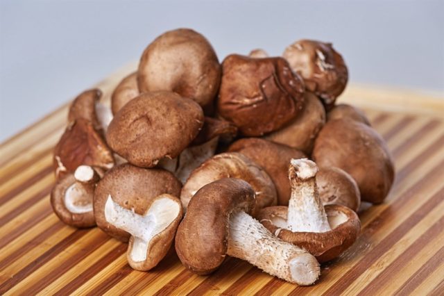 Shiitake mushrooms: how much to cook