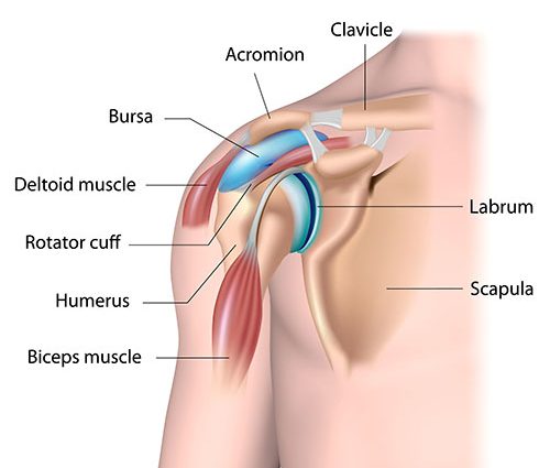 Shoulder girdle pain &#8211; causes, symptoms, diagnosis, treatment, home management