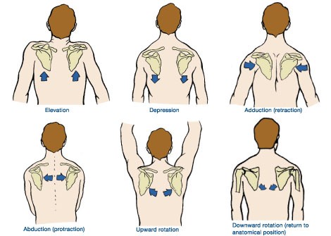 Shoulder retraction &#8211; causes, symptoms, treatment