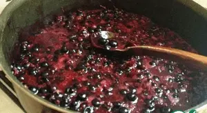 Silt jam from black, red currant