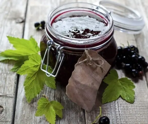 Simple blackcurrant jelly recipes at home