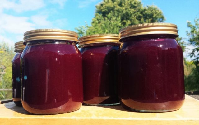 Simple blackcurrant jelly recipes at home