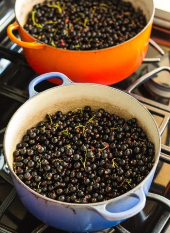 Simple blackcurrant jelly recipes at home