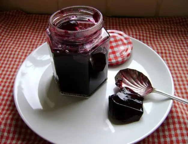 Simple blackcurrant jelly recipes at home