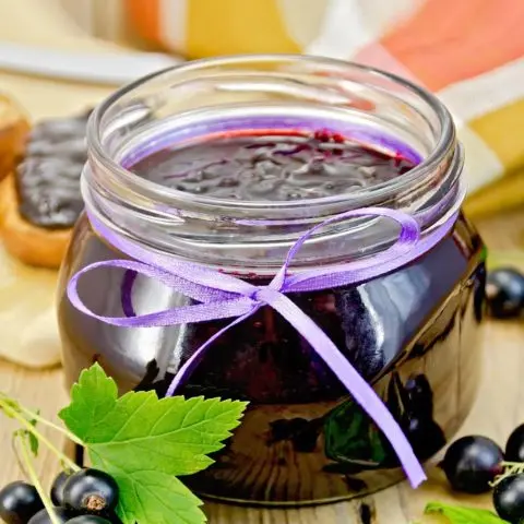 Simple blackcurrant jelly recipes at home