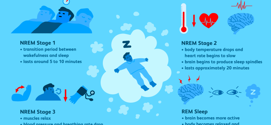 Sleep phases and sleep disturbances. What phases of sleep do we distinguish?